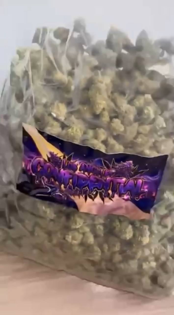 LOS ANGELES CONFIDENTIAL 🌴